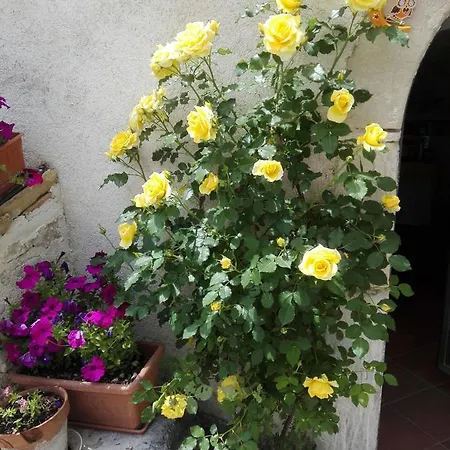 Residenza Storica Le Civette Castel del Monte (Abruzzo)