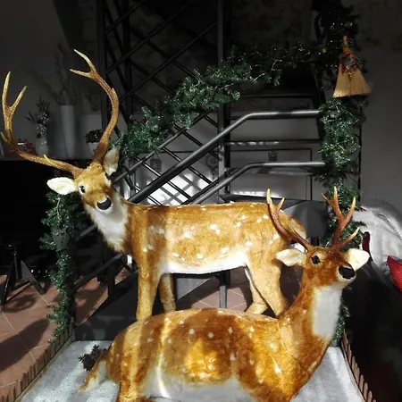 Guest house Residenza Storica Le Civette 3*