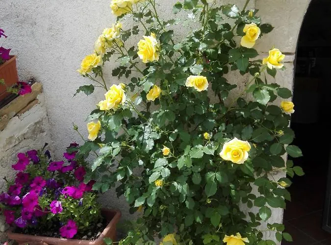 Residenza Storica Le Civette Castel del Monte (Abruzzo)