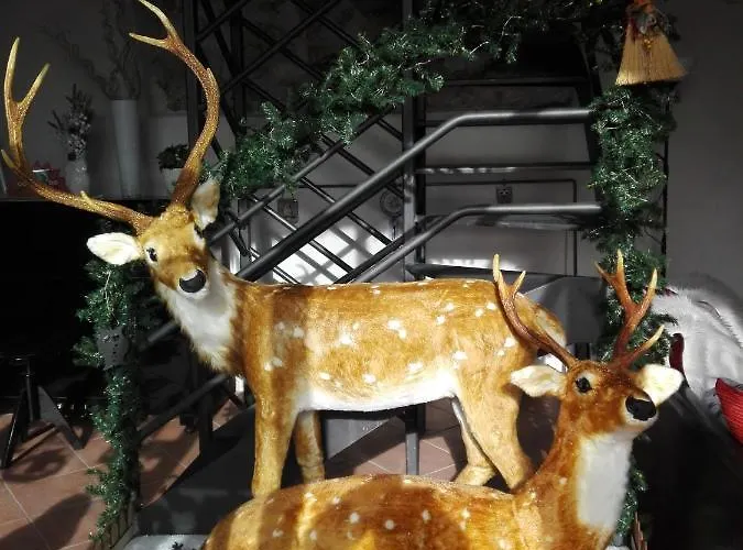 Affittacamere Residenza Storica Le Civette 3*